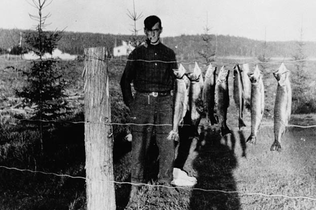 Picture of Tom Thomson